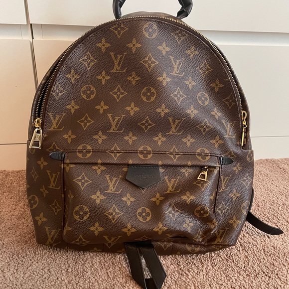 Louis Vuitton Palm Springs MM - Picture 2 of 10